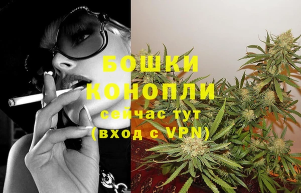 гидра Нязепетровск