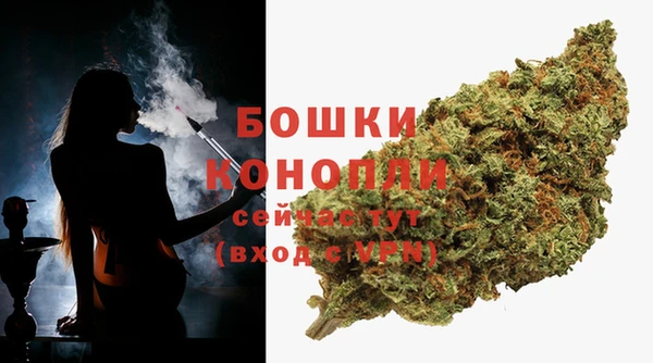 apvp Няндома