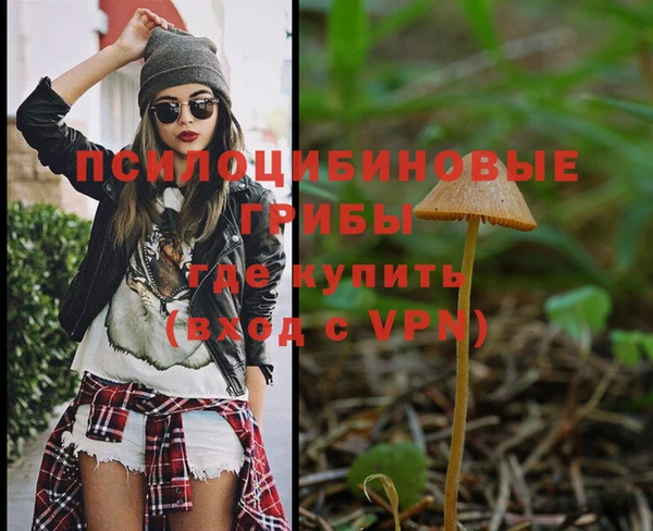 гидра Нязепетровск