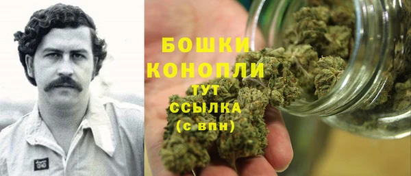 гидра Нязепетровск